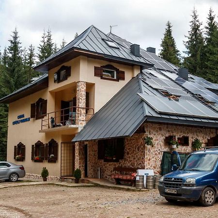 Pension Cabana Cetatile Ponorului Padis Extérieur photo