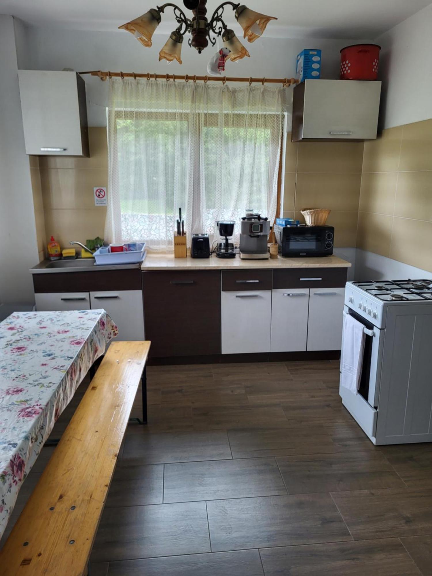 Pension Cabana Cetatile Ponorului Padis Extérieur photo