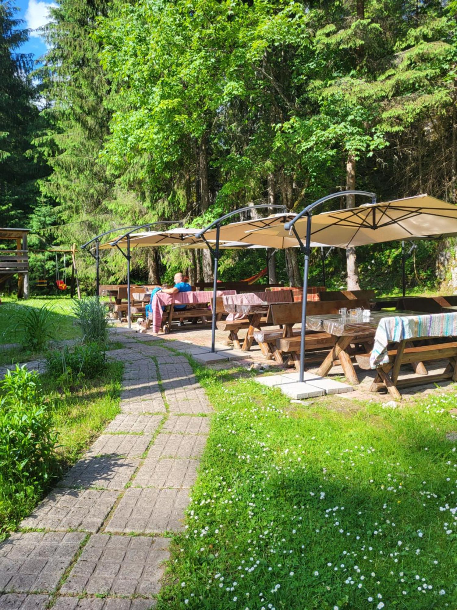 Pension Cabana Cetatile Ponorului Padis Extérieur photo