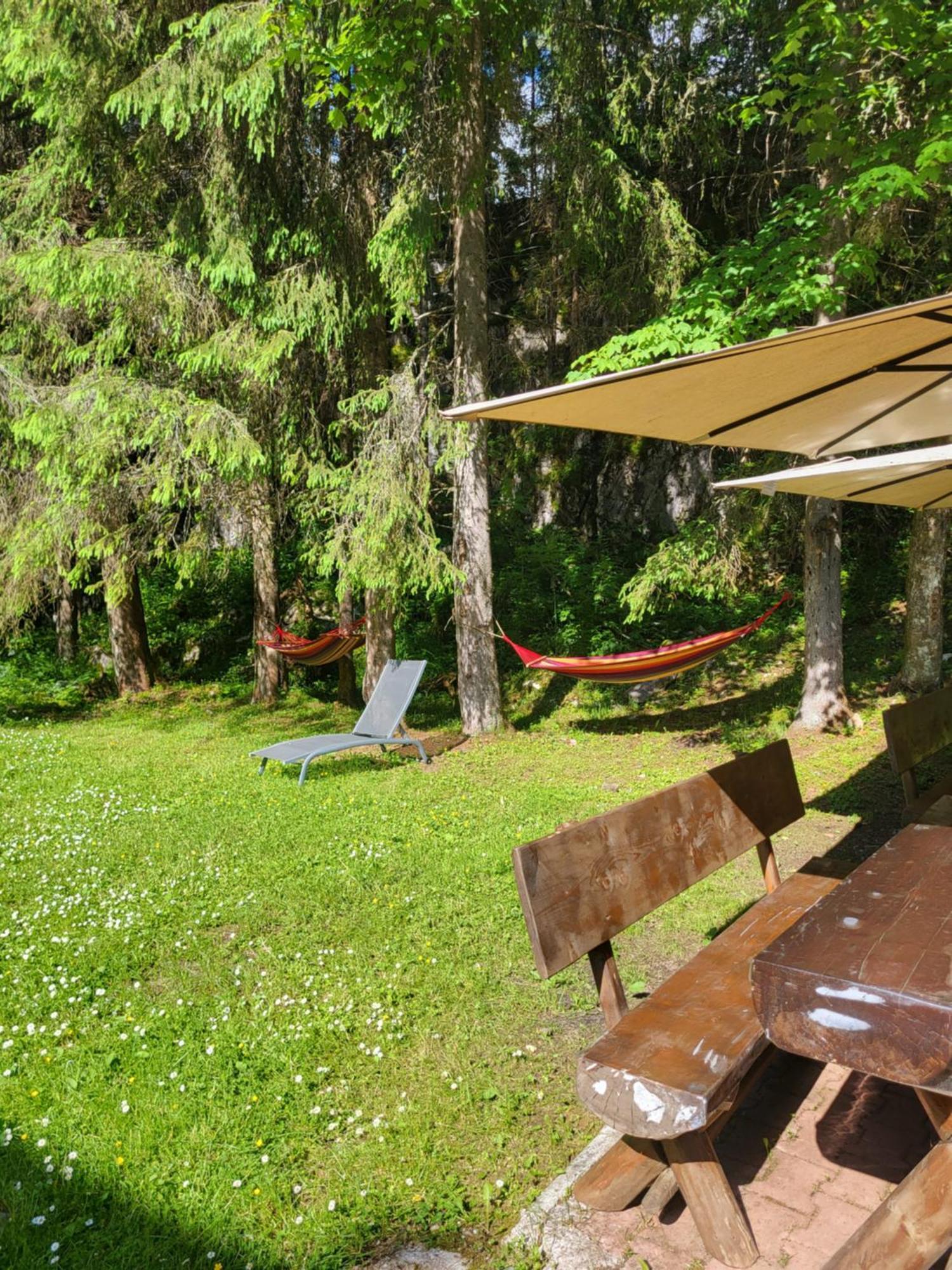 Pension Cabana Cetatile Ponorului Padis Extérieur photo