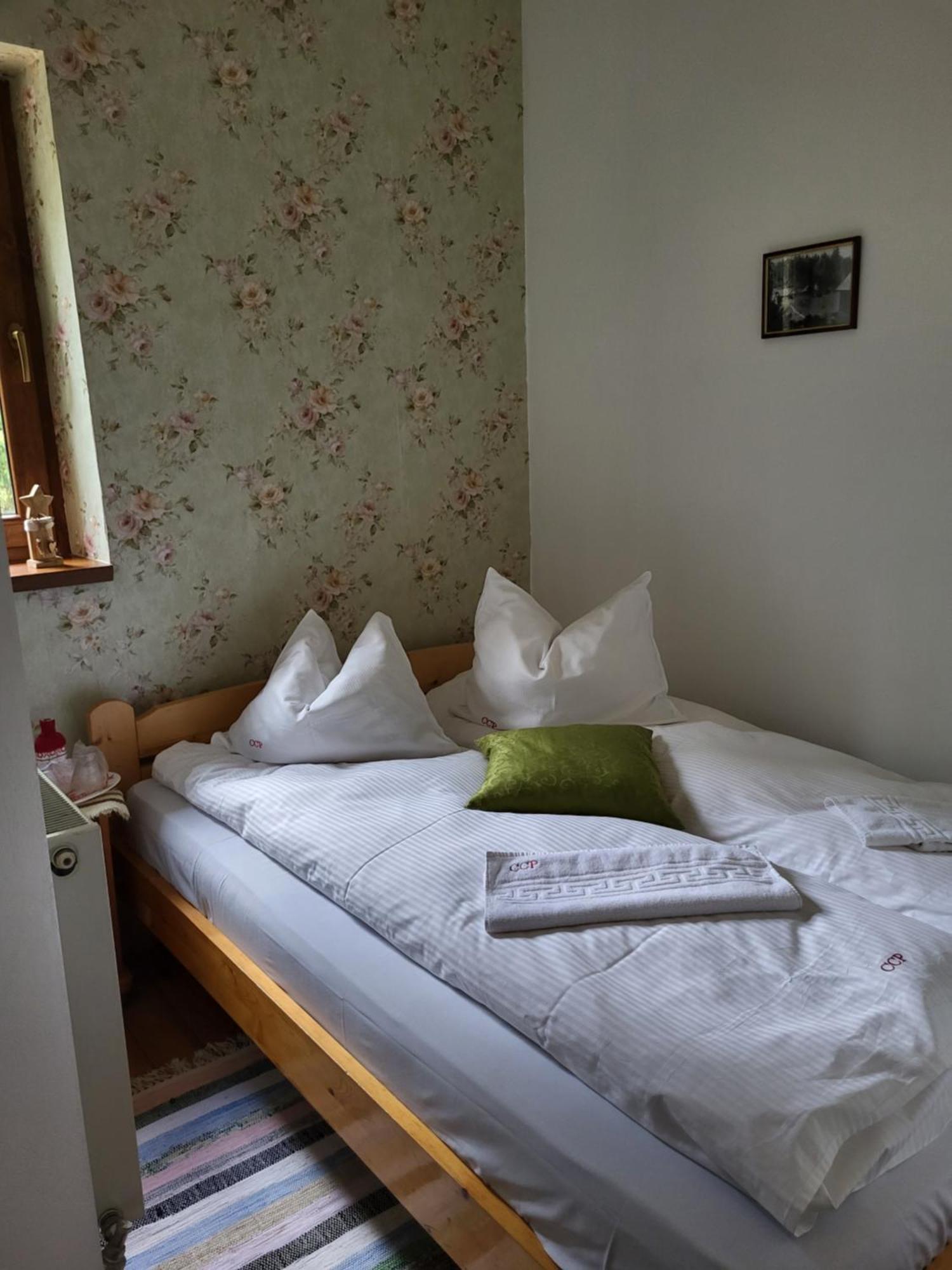 Pension Cabana Cetatile Ponorului Padis Extérieur photo