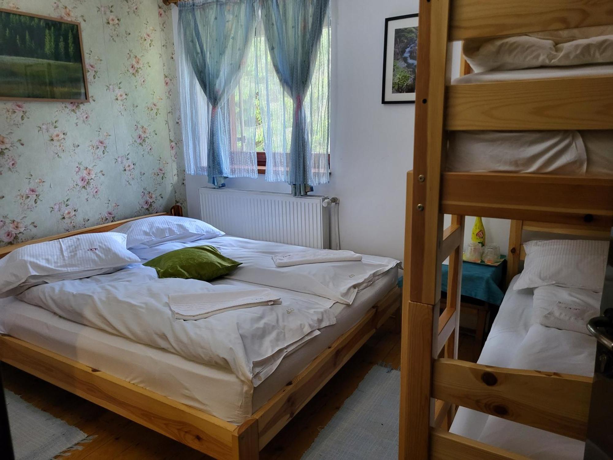 Pension Cabana Cetatile Ponorului Padis Extérieur photo