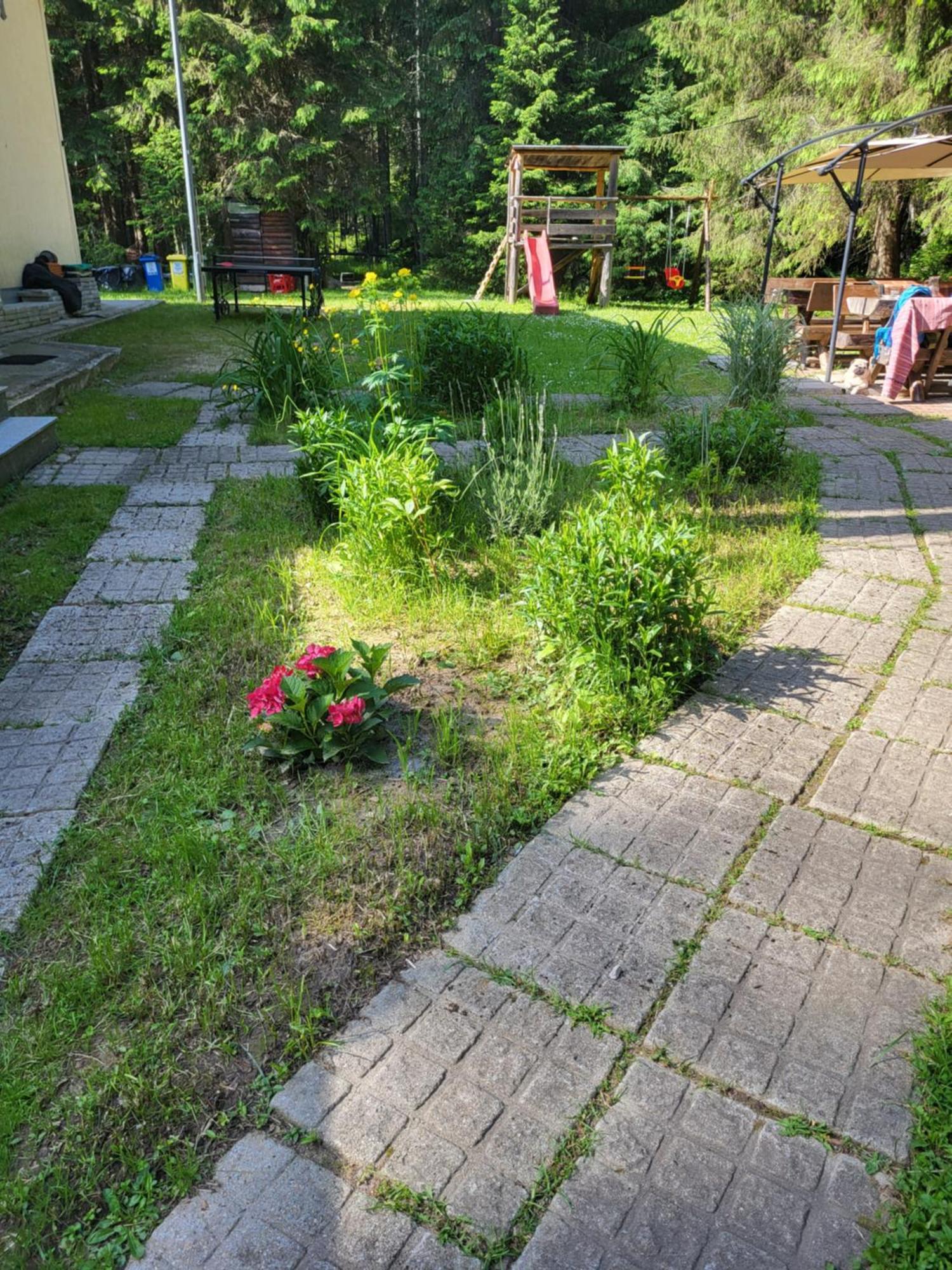 Pension Cabana Cetatile Ponorului Padis Extérieur photo
