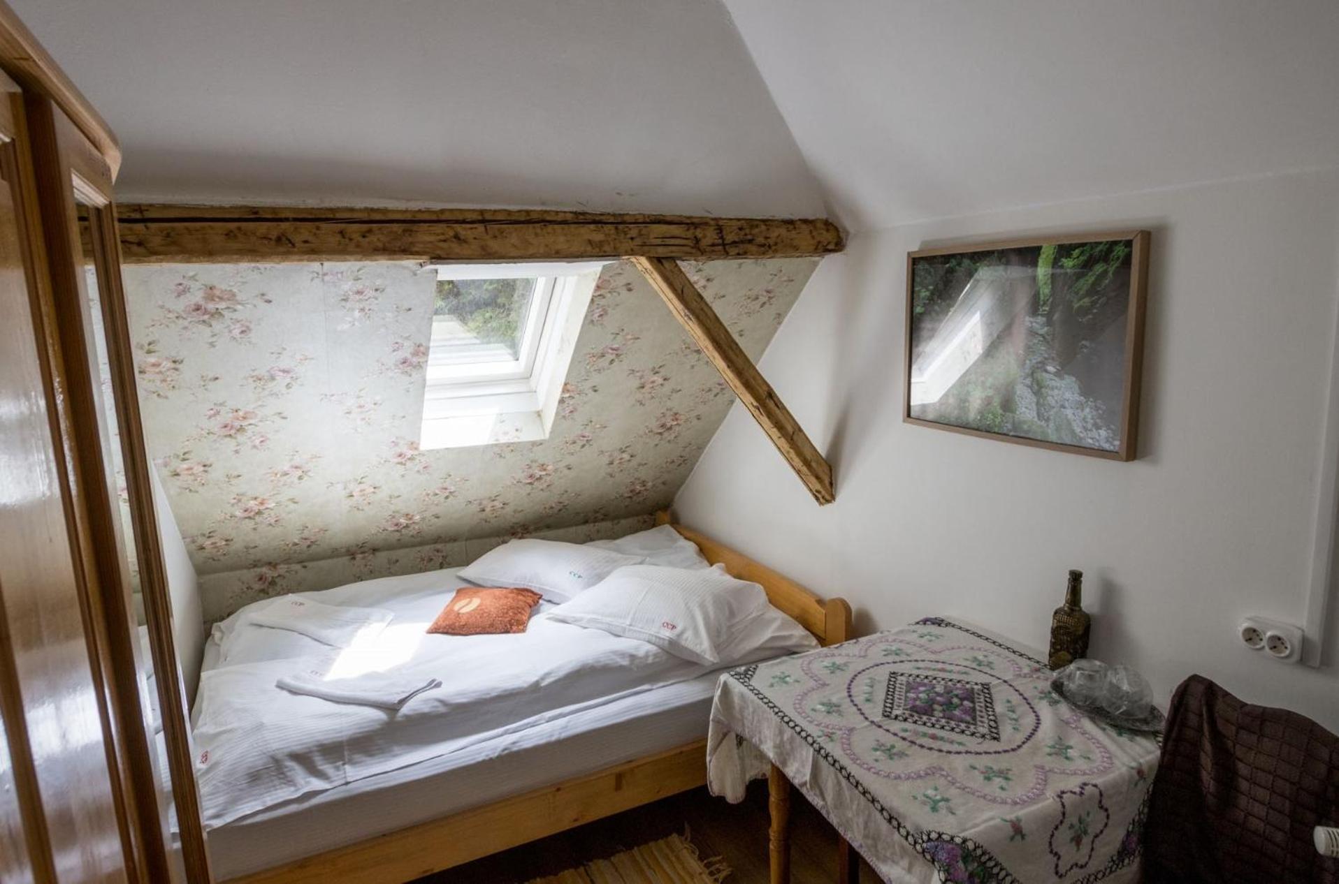 Pension Cabana Cetatile Ponorului Padis Extérieur photo