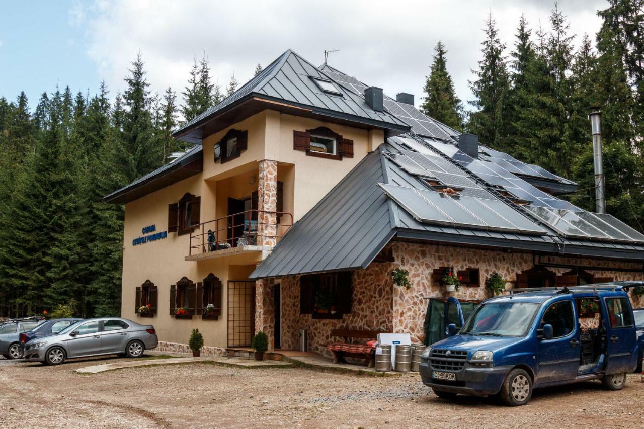 Pension Cabana Cetatile Ponorului Padis Extérieur photo